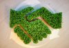 B2B sustainability