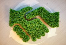 B2B sustainability