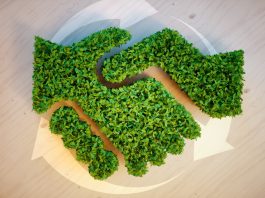 The Impact of Sustainability on B2B Purchasing Decisions B2B sustainability